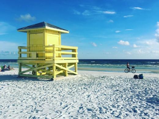 Siesta Key - Experience all the island living  Siesta Key has to offer! Photo 7