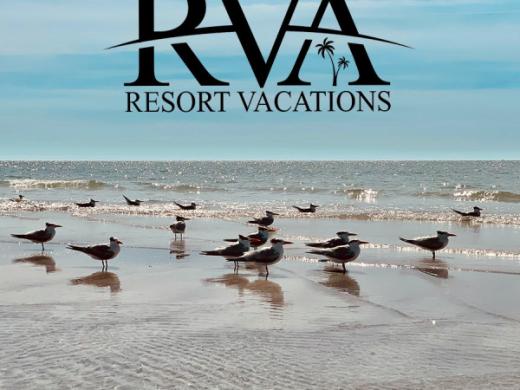 Gulf of Mexico Vacations Photo 6