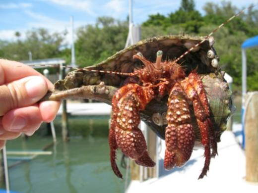 744_640x480.jpg Photo 3