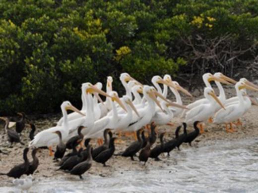 743_640x480.jpg Photo 6