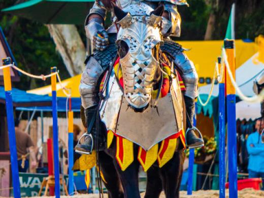 Jousting Photo 2