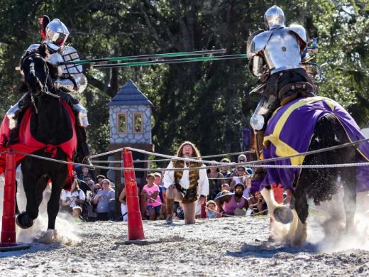 Jousting Photo 3