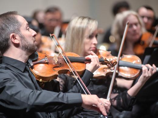 SO Strings Photo 6