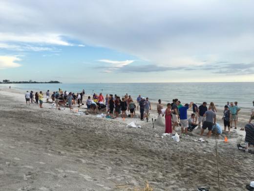 Sand Castle Building Photo 6