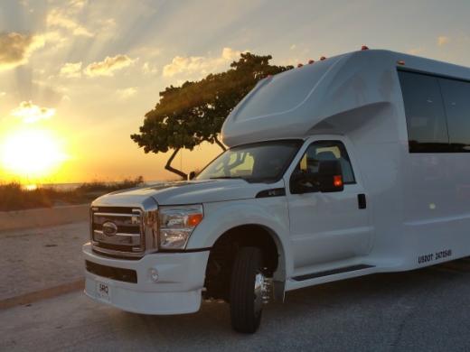 28 Passenger Mini Coach Photo 8