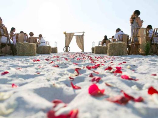 Country Fair Themed Beach Wedding Package Photo 2