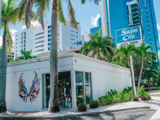 Swim City - Downtown Sarasota Mural - Wing mural at Swim City in downtown Sarasota Photo