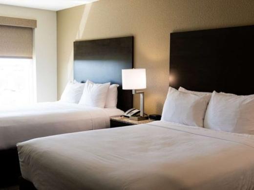 Double Queen Beds - Comfy Double Queen Beds Photo 4