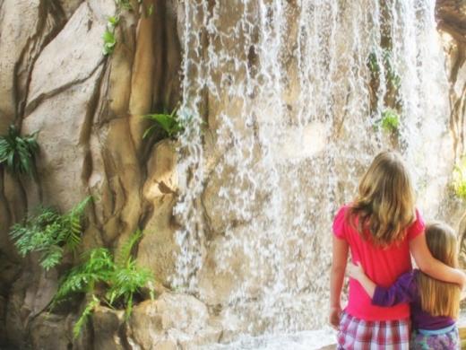 447_742x480.jpg - Waterfall in Children's Rainforest Photo 2