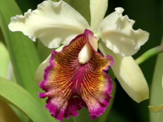 1251_640x481.jpg Photo 5