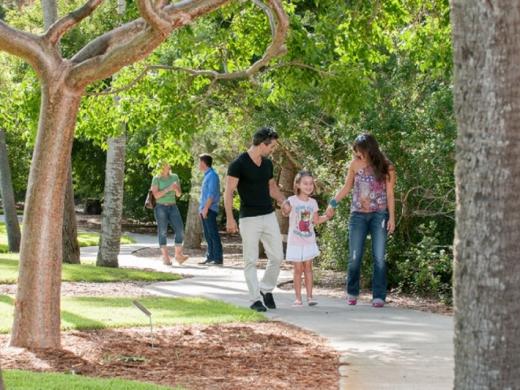 442_722x480.jpg - Wander through the Bayfront Gardens featuring Mable's Rose Garden, majestic banyan trees and the whimsical Dwarf Garden. Photo 5