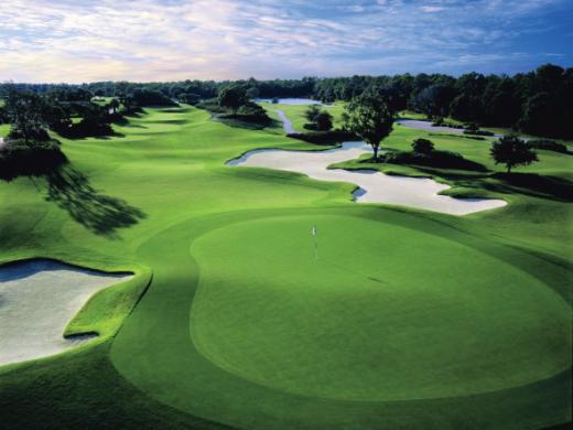 The Ritz-Carlton Golf Club Photo 8