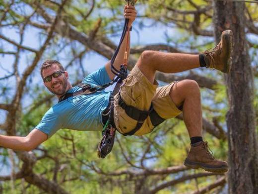 Fun In The Trees Photo