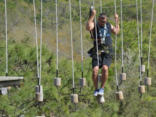 TreeUmph! Adventure Course | Visit Sarasota County