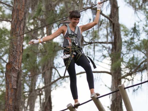 We have over 100 treetop obstacles Photo 6