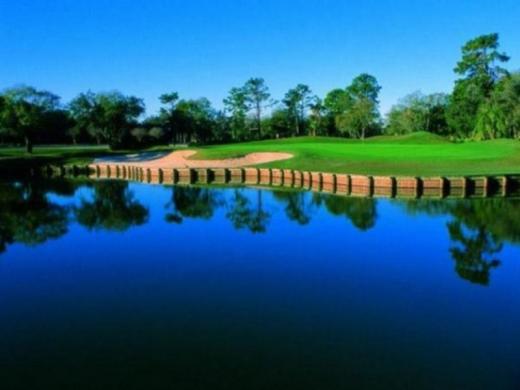 475_640x480.jpg - Ron Garl designed signature hole # 5 Photo