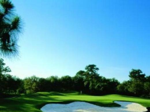 478_640x480.jpg - Majestic oaks and slash pines create a dramatic backdrop for our 27 holes of championship golf Photo 3