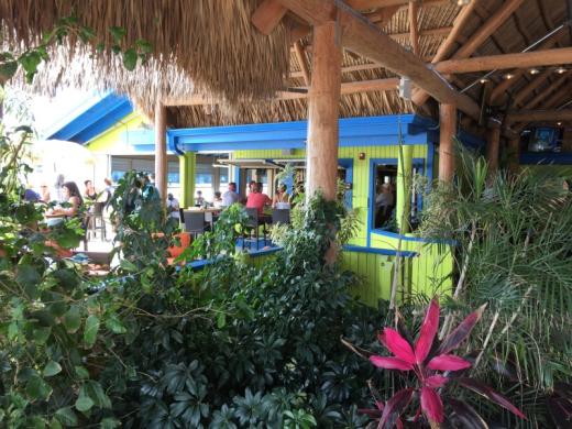 Lush Florida foliage, fresh seafood & frosty frozen drinks! Photo 4