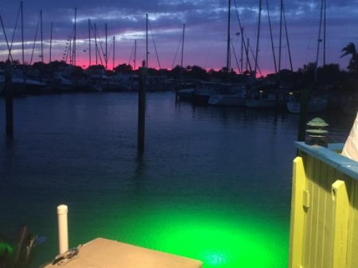 It's good to be in The Sunshine State! Photo 8