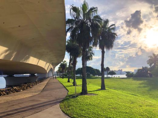 Bird Key Park - Walking path continues from the entrance under the John Ringling Causeway. Photo 3