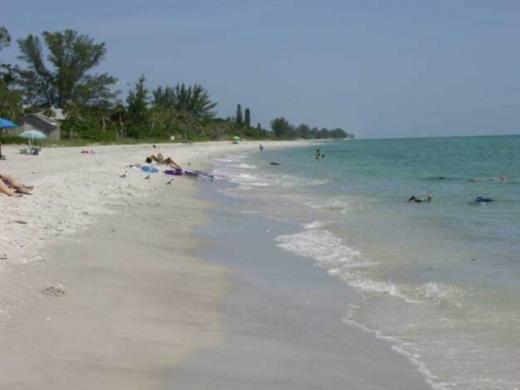 1169_640x481.jpg Photo