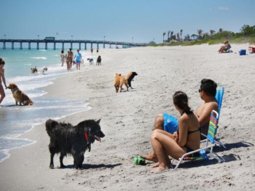 1351_640x481.jpg Photo