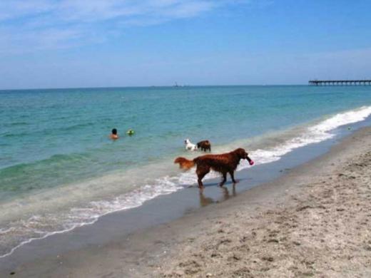 1170_640x481.jpg Photo 2