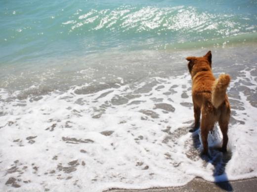 1182_640x481.jpg Photo 4