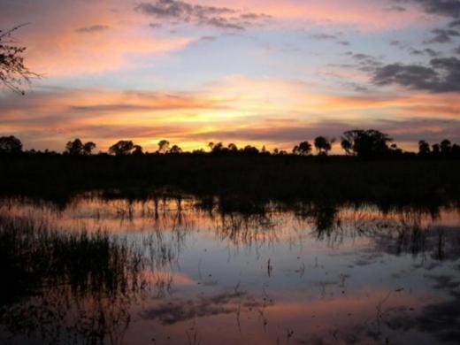 1168_640x481.jpg Photo