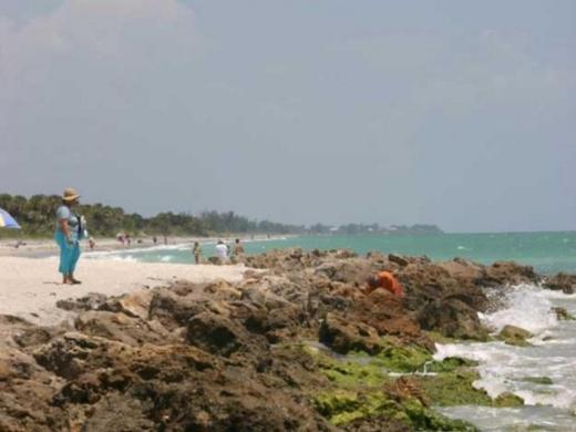 1176_640x481.jpg Photo