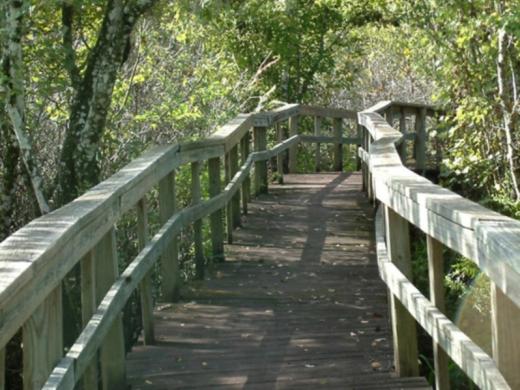 1231_640x481.jpg Photo