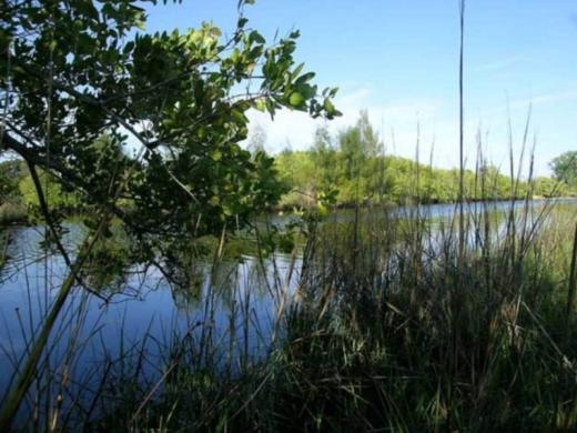 1187_640x481.jpg Photo 2