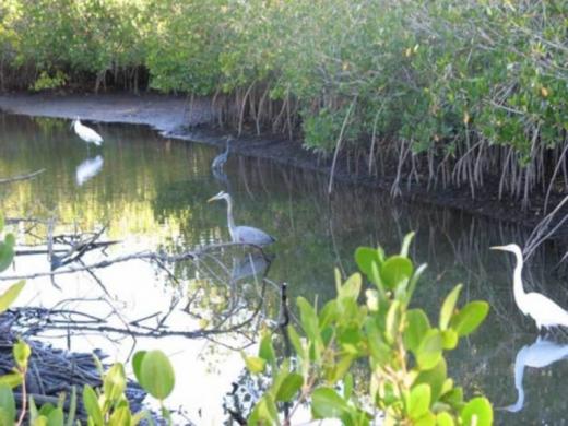 1188_640x481.jpg Photo 3