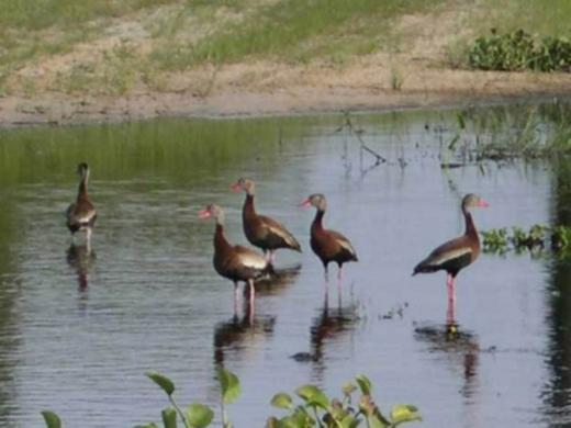 1190_640x481.jpg Photo 2