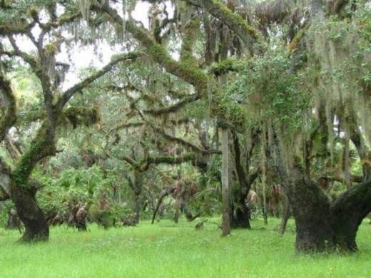 1192_640x481.jpg Photo 4