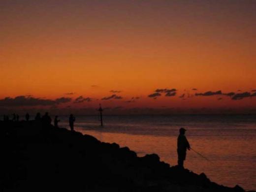 1195_640x481.jpg Photo