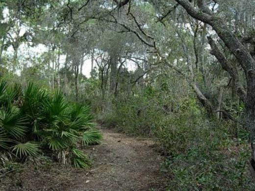 1199_640x481.jpg Photo 3