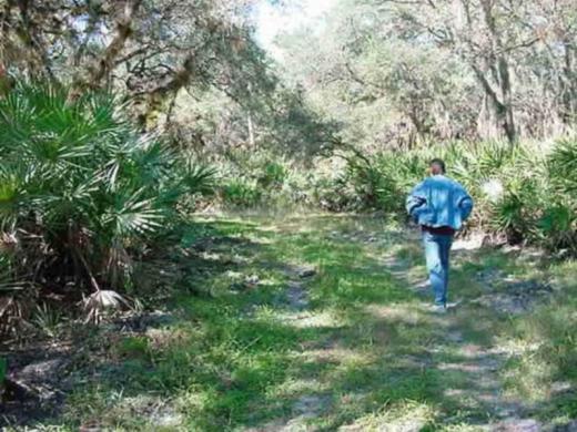 1200_640x481.jpg Photo 4