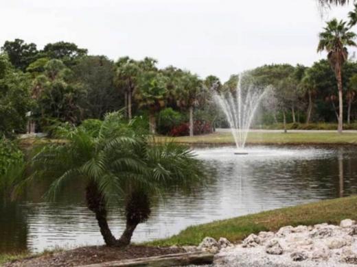 1254_640x481.jpg Photo