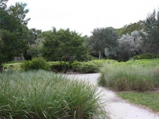 1258_640x481.jpg Photo 5