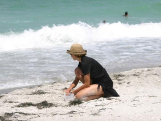 1309_640x481.jpg Photo 4