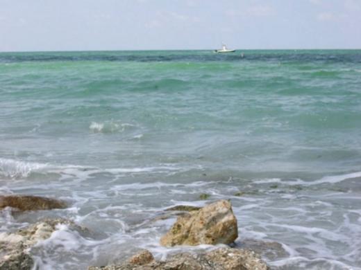 1310_640x481.jpg Photo 5