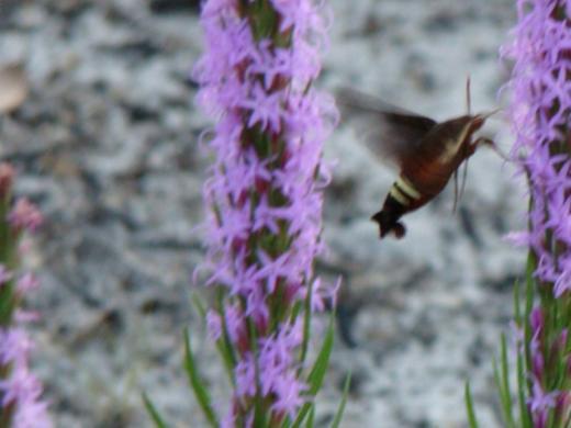 1354_640x481.jpg Photo 2