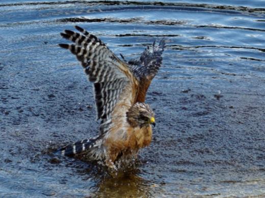 1312_640x481.jpg Photo 2