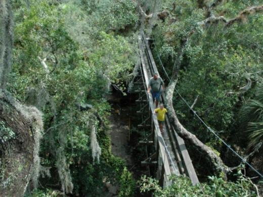 1313_640x481.jpg Photo 3