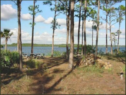 1241_640x481.jpg - Myakka River Camp Site Photo 2