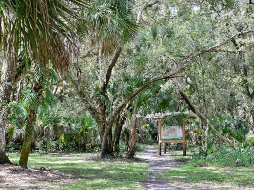 Myakkahatchee Environmental Park Photo
