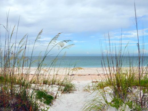 North Lido Beach Park - The park contains an upland area with 49 acres of Australian pine woods, grassy savannahs and walking trails, plus 22.5 acres of beach and mangroves. Bird nesting areas on t... Photo
