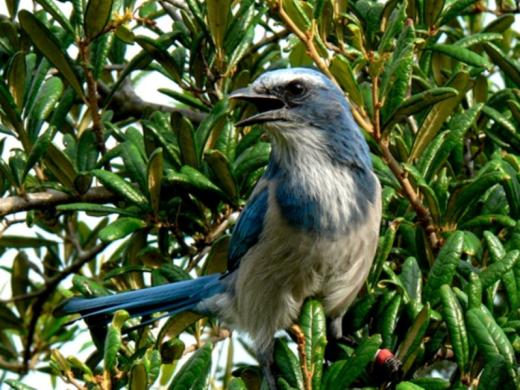 1245_640x481.jpg Photo 2