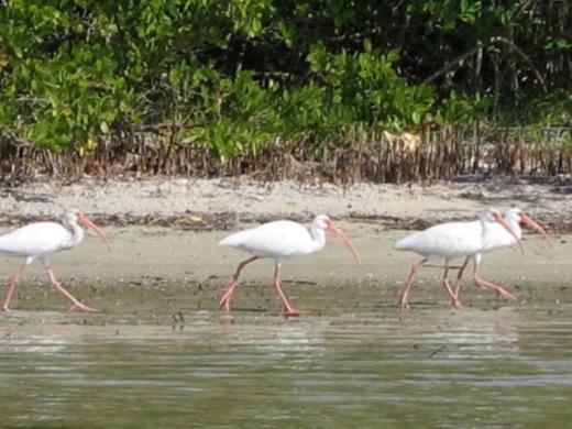 1324_640x481.jpg Photo